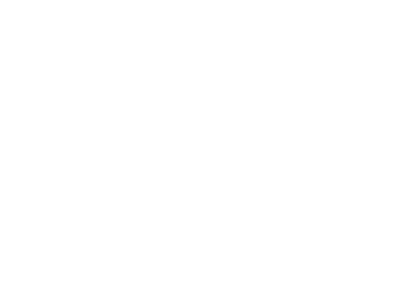 Standard Pass
